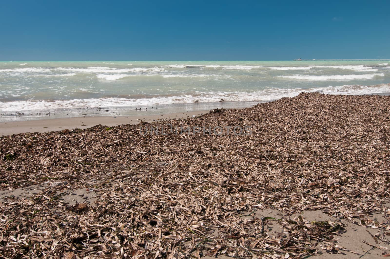 Uncleared beach in low season in Italy, Tuscany