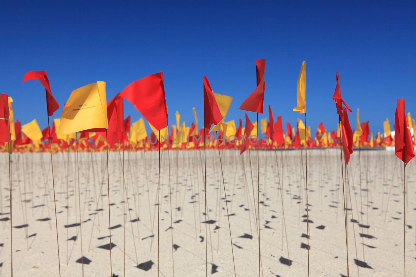 Sculpture by the Sea exhibit at Bondi Australia by lovleah