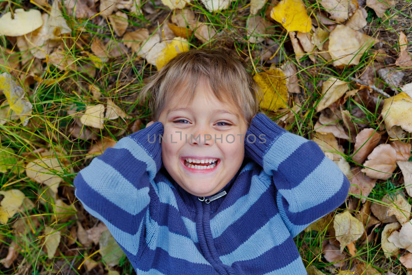 Portrait of happy boy lying on autumnal ground covered with dry leaves