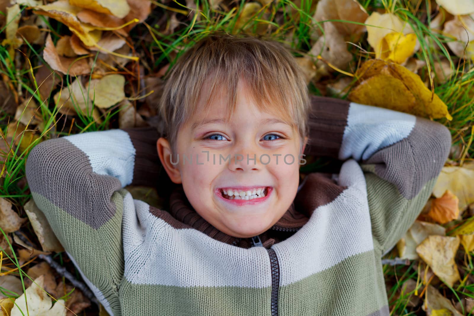 Portrait of happy boy lying on autumnal ground covered with dry leaves