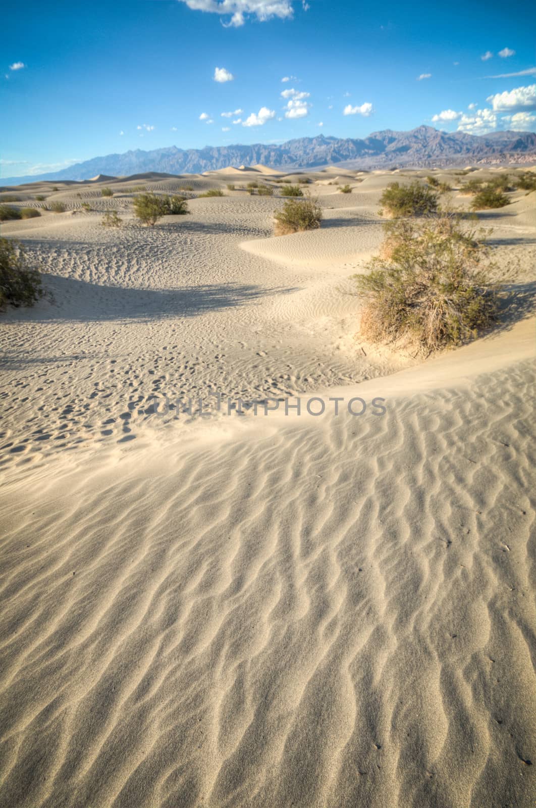 Death Valley natural sand dunes by weltreisendertj