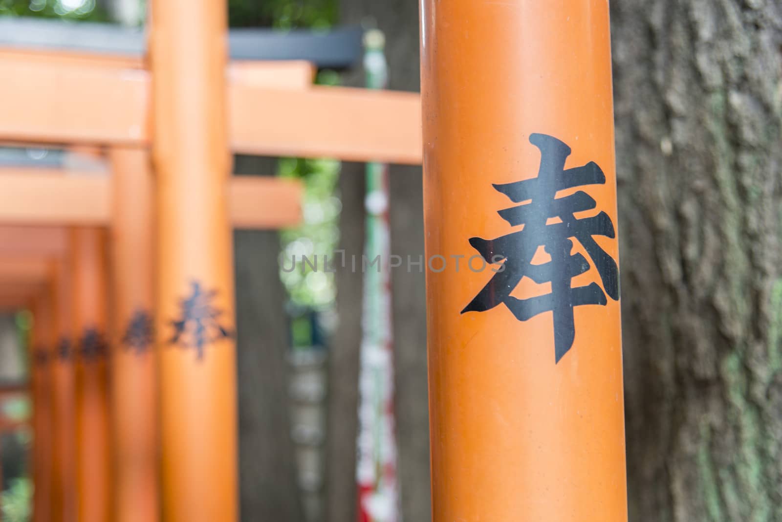 Japanese Charactor on Red Torii2