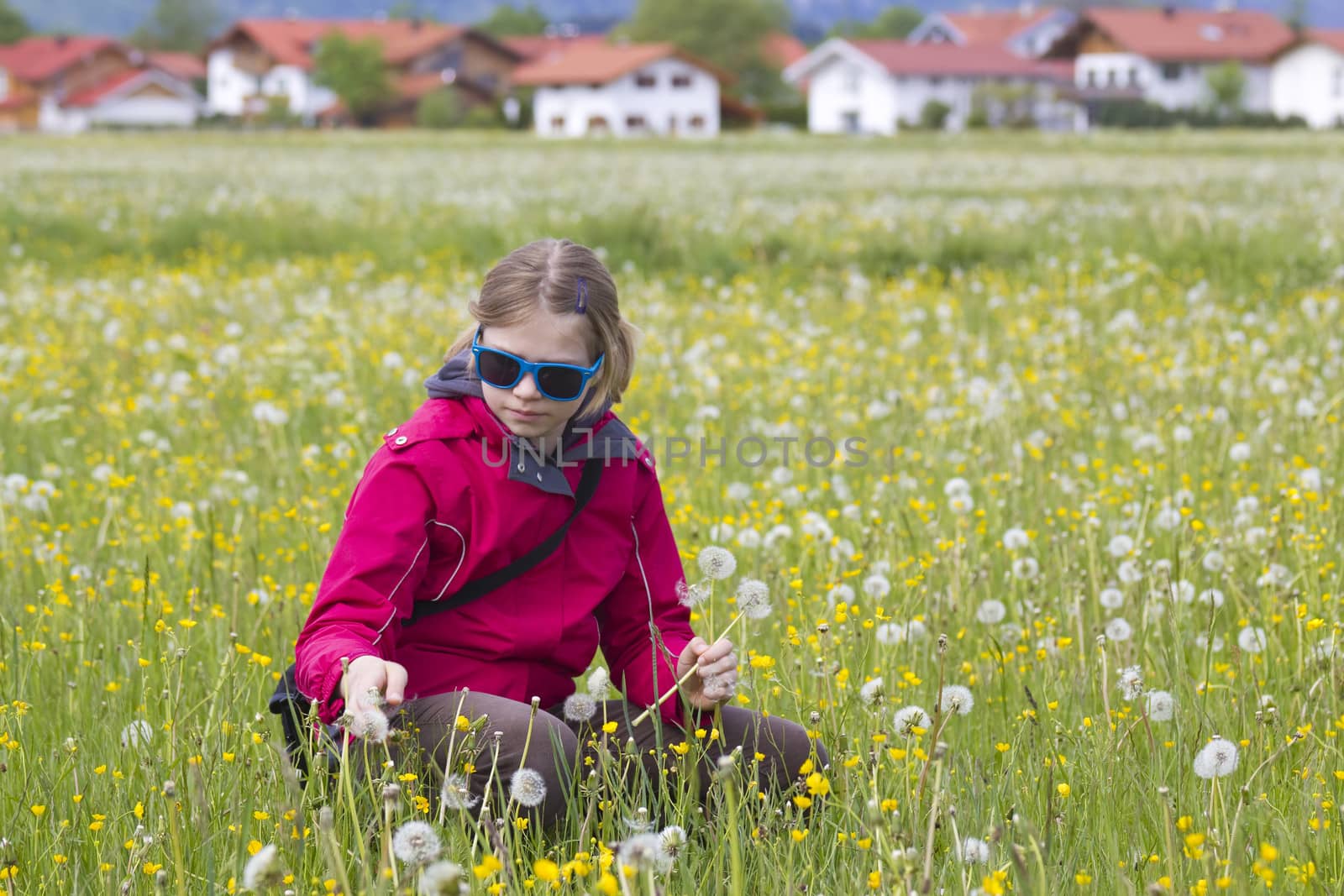 young girl on the meadow with dandelions  by miradrozdowski