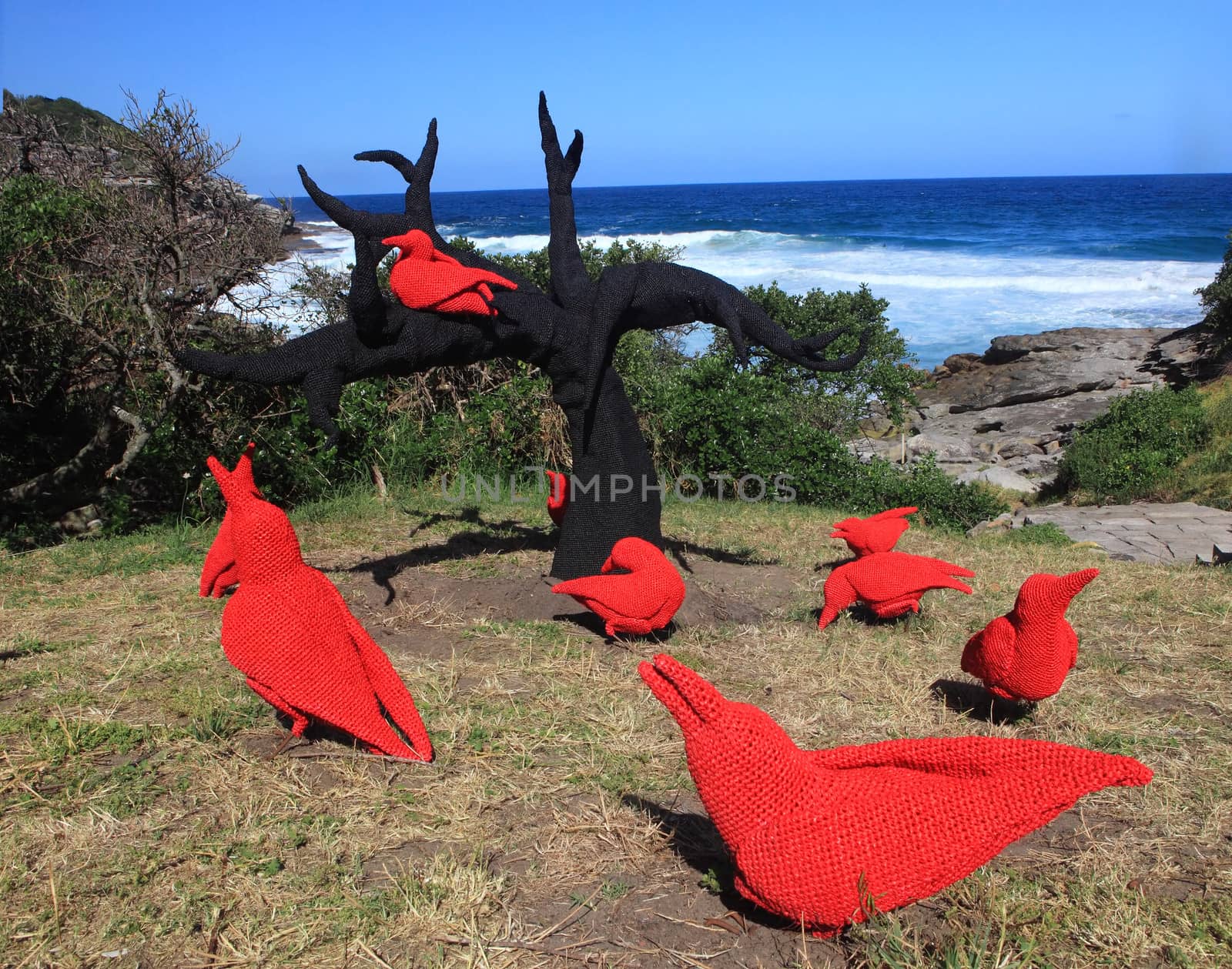 BONDI BEACH, AUSTRALIA - OCTOBER 30, 2013: Sculpture By The Sea, Bondi. Annual event showcases artists around the world  Sculpture titled 'East of the mulberry tree, the legend of the ten red crows' by Mikaela Castledine (WA).  Medium crocheted polypropylene, steel