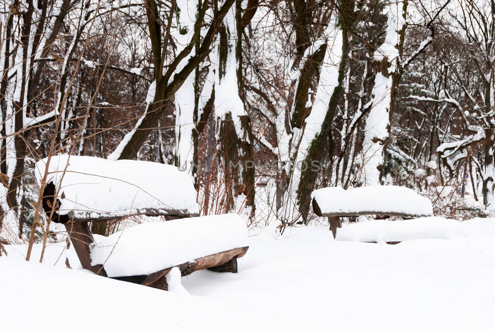 Wooden benches after snowfall in winter park
