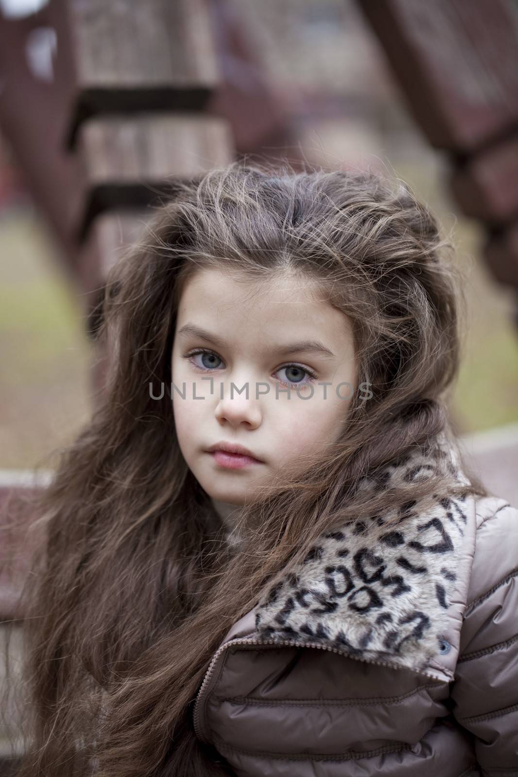 Autumn portrait of a beautiful young girl on the street