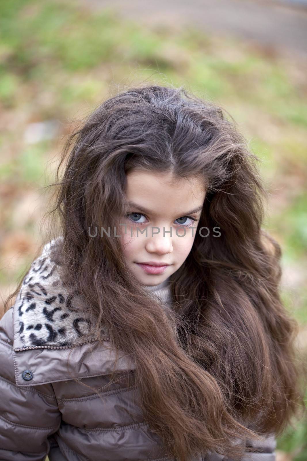 Autumn portrait of a beautiful young girl on the street