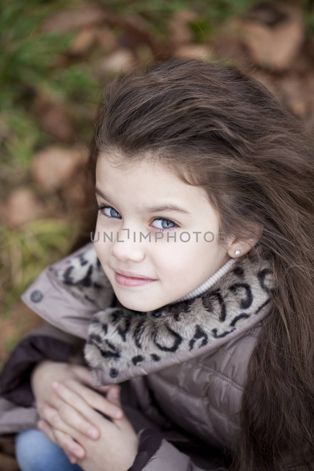 Autumn portrait of a beautiful young girl on the street