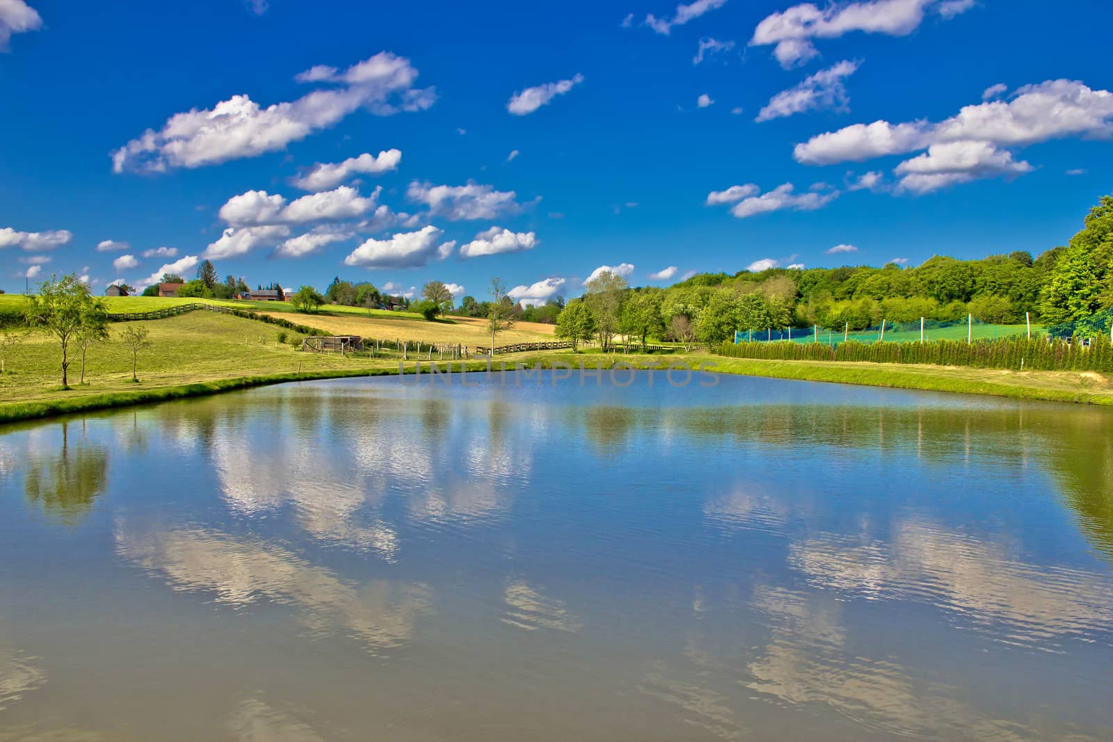 Idyllic lake in green landscape, region of Prigorje, Croatia