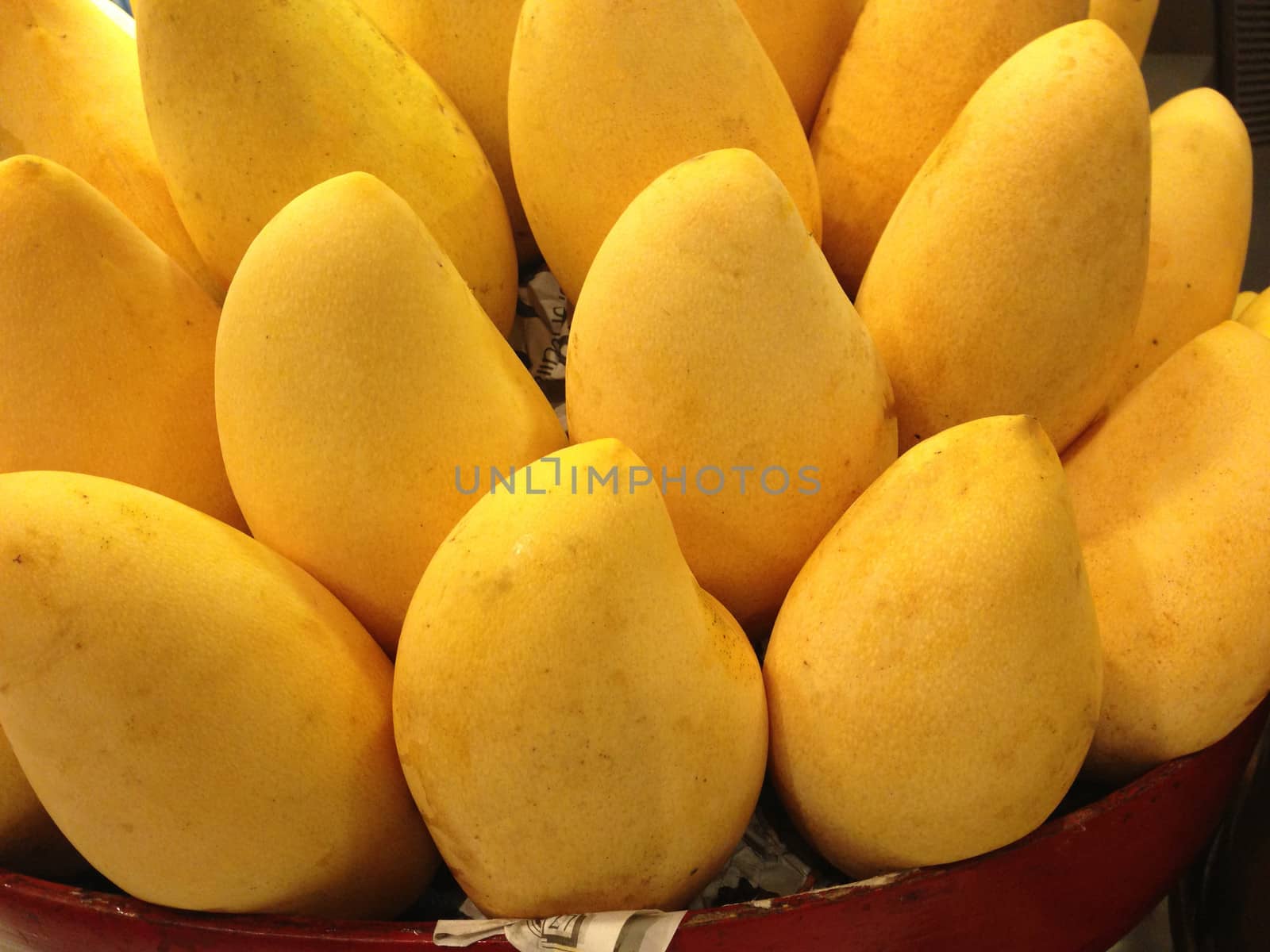yellow mango