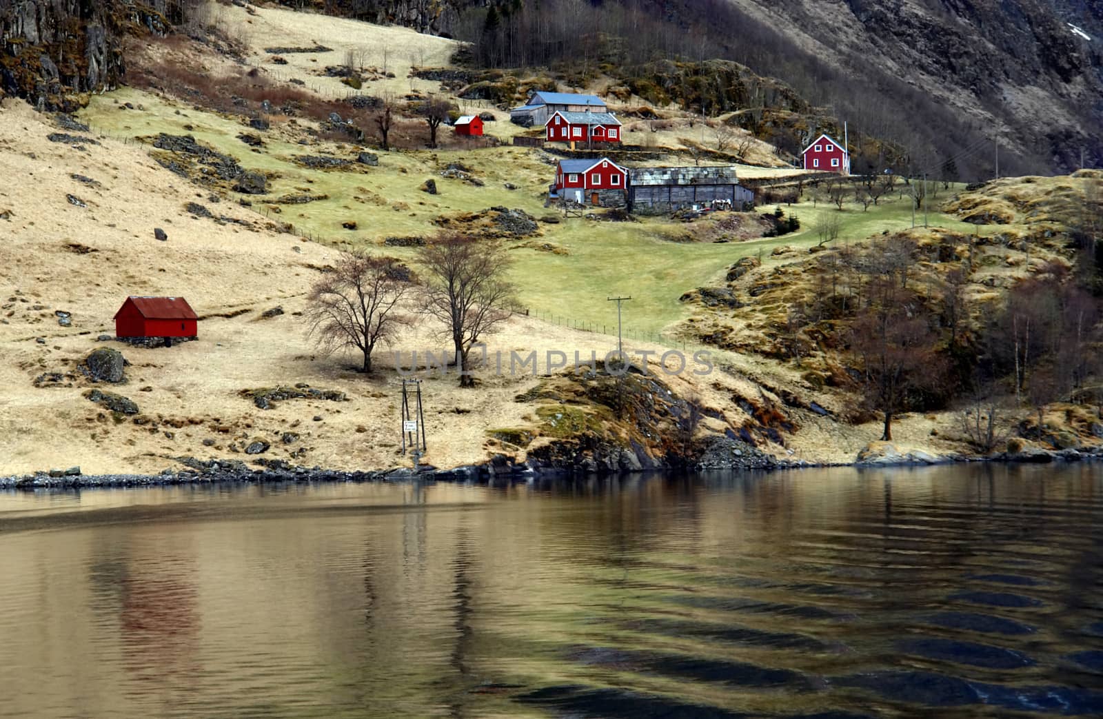 Norway fjord scenic view, tradicional houses next to water                               