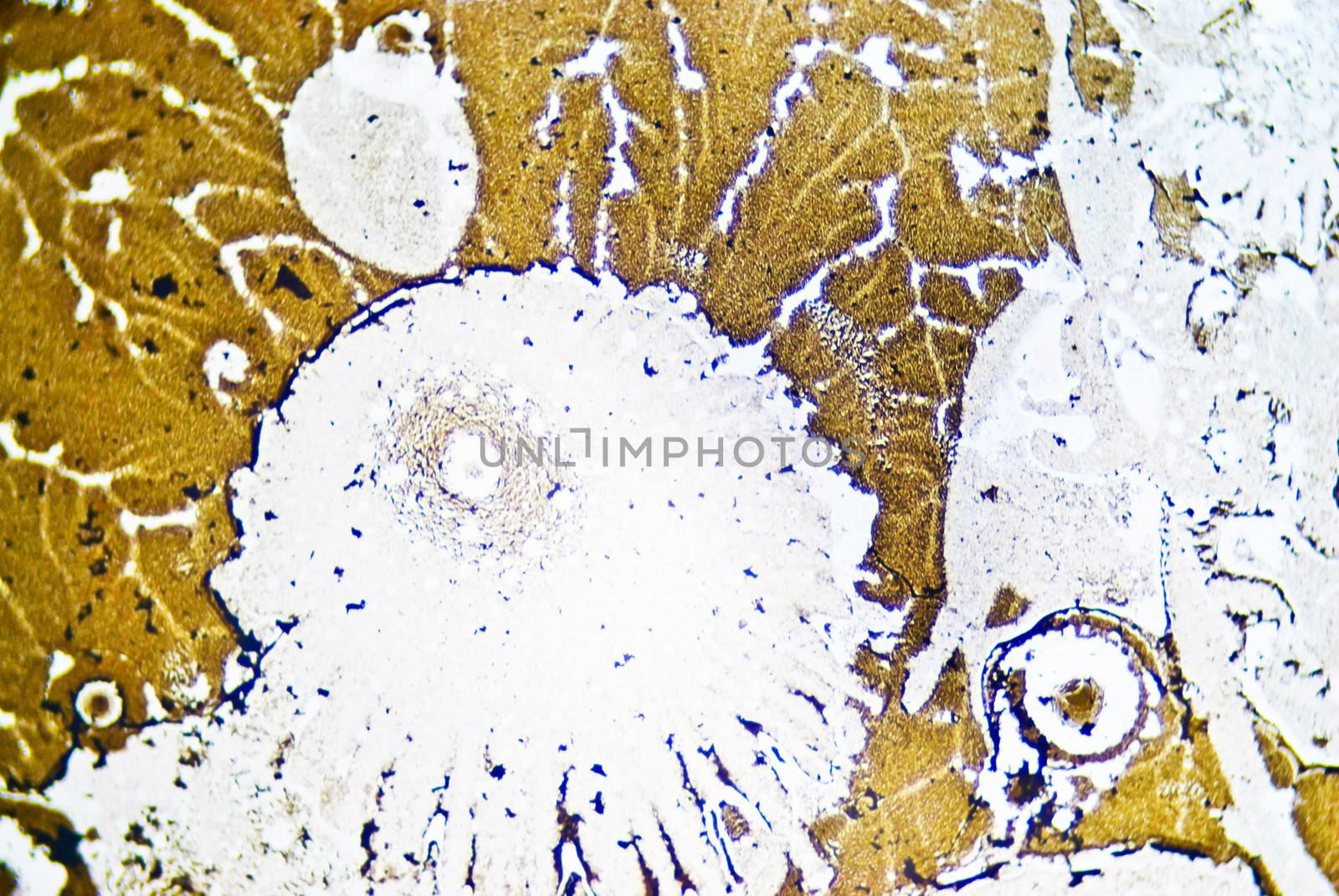 Microscopic soot particles
