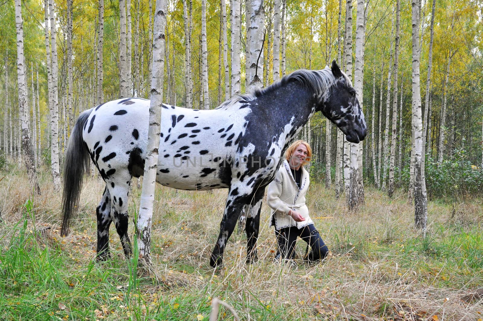 Woman and white horse with black spots in a birch forest.