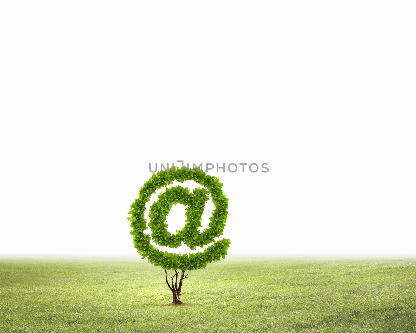 Image of plant shaped like at symbol