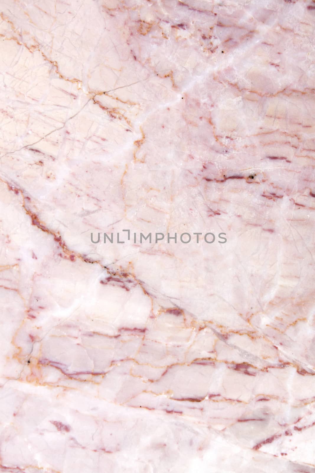 White marble texture background pattern with high resolution. by janniwet