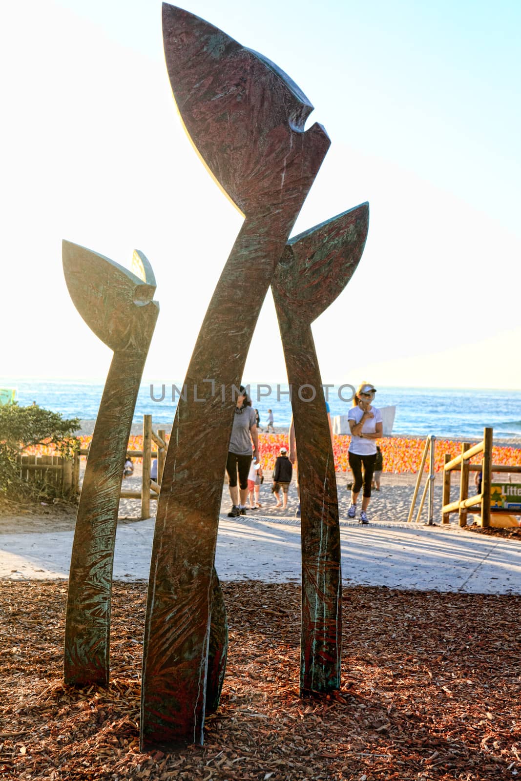 Bondi Beach, Australia - November 3, 2013: Sculpture By The Sea, Bondi 2013. Annual cultural event that showcases artists from around the world  Sculpture titled 'New Generation' by RM Gomboc (WA).  Medium copper  Price $69000