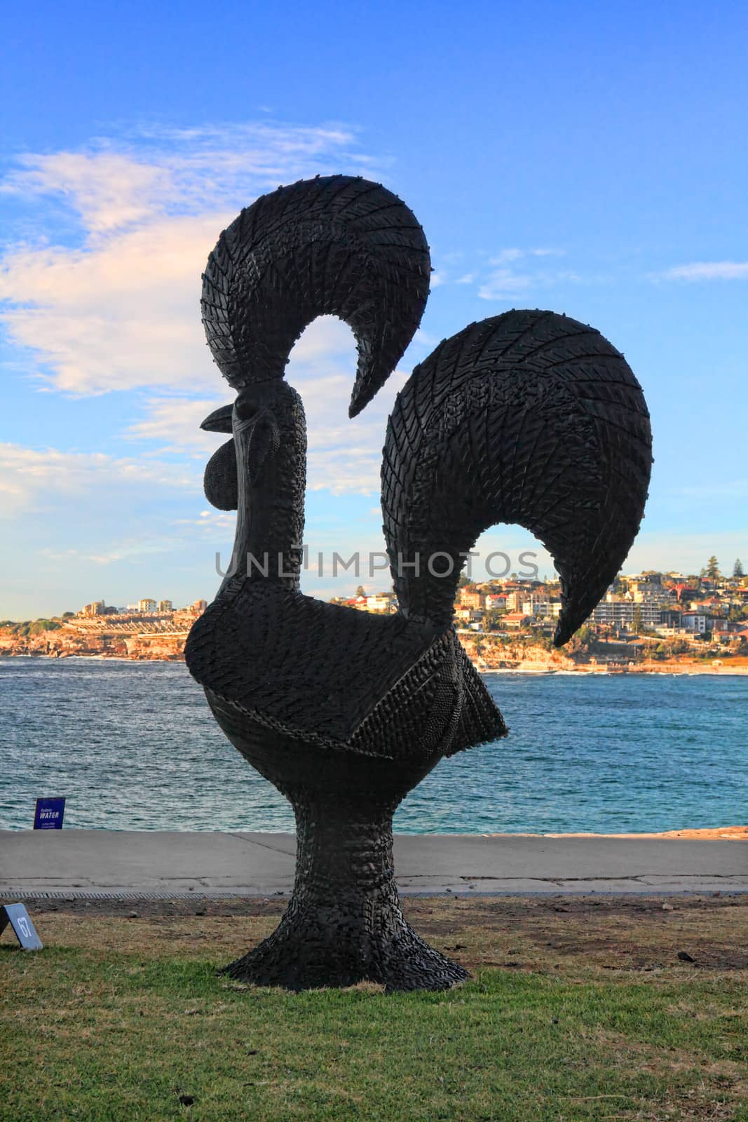 Bondi Beach, Australia - November 3,  2013: Sculpture By The Sea, Bondi 2013. Annual cultural event that showcases emerging artists from around the world  Sculpture titled 'Chicken Cafreal 2012' by Subodh Kerkar (India).  Medium rubber tyres, fibreglass.  Price $12000