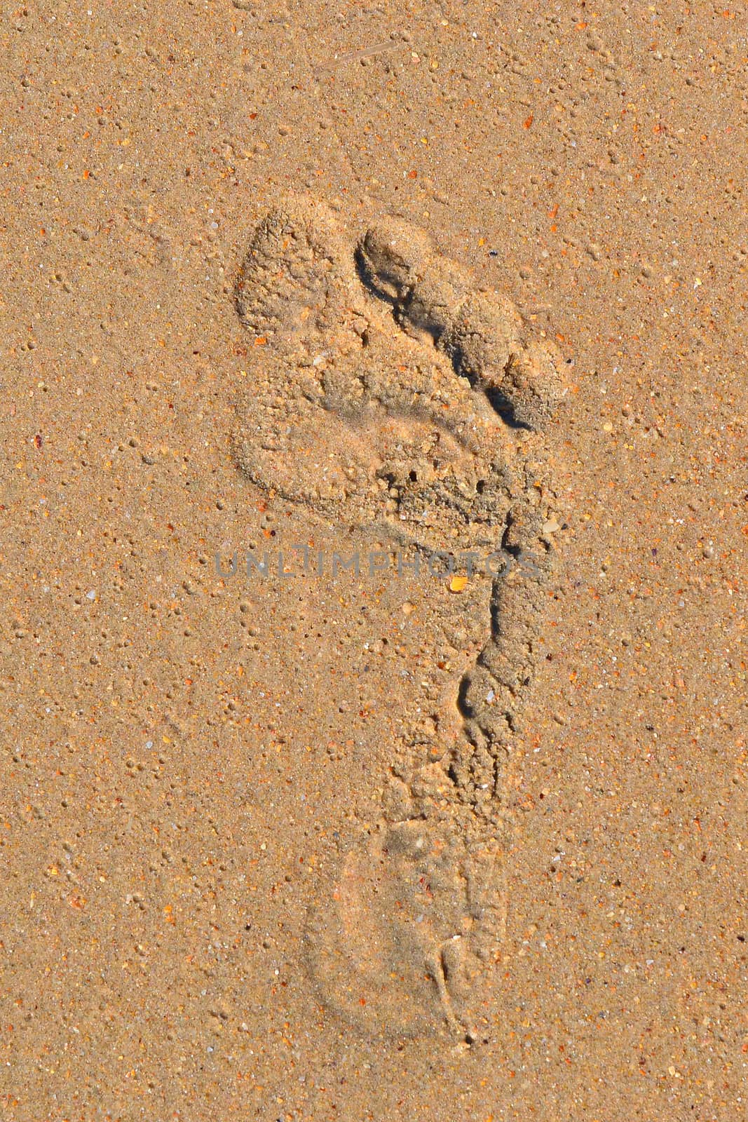 Trace of a bare foot of the person on sand.