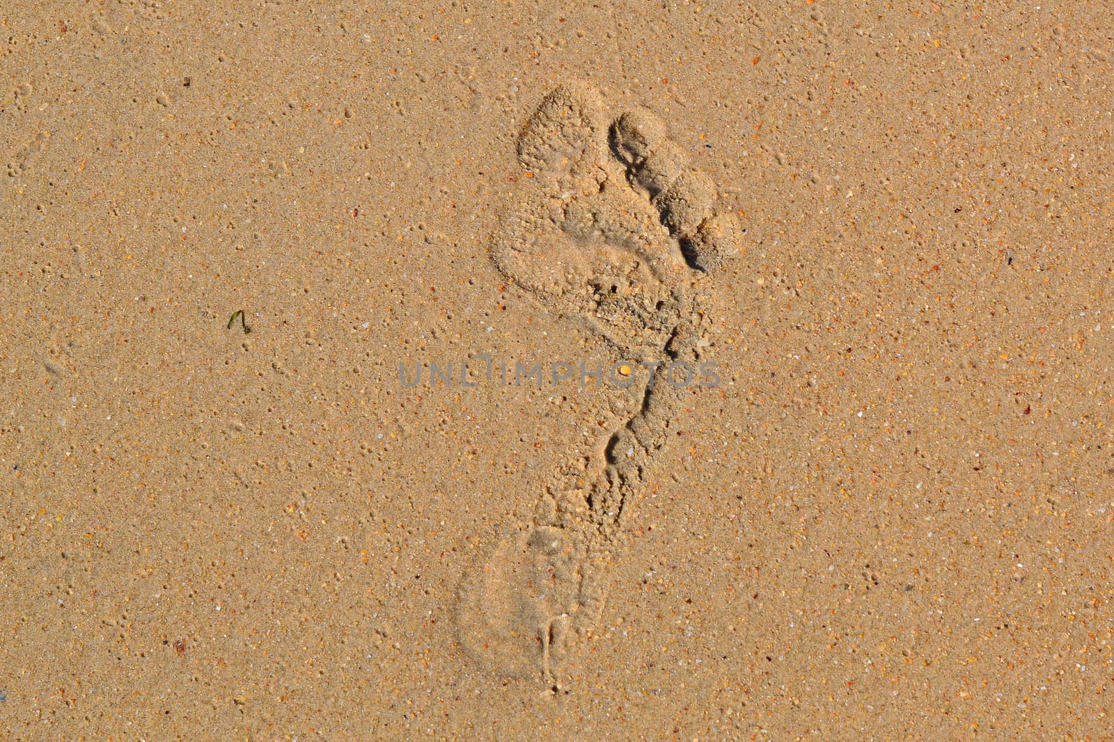 Trace of a bare foot of the person on sand.