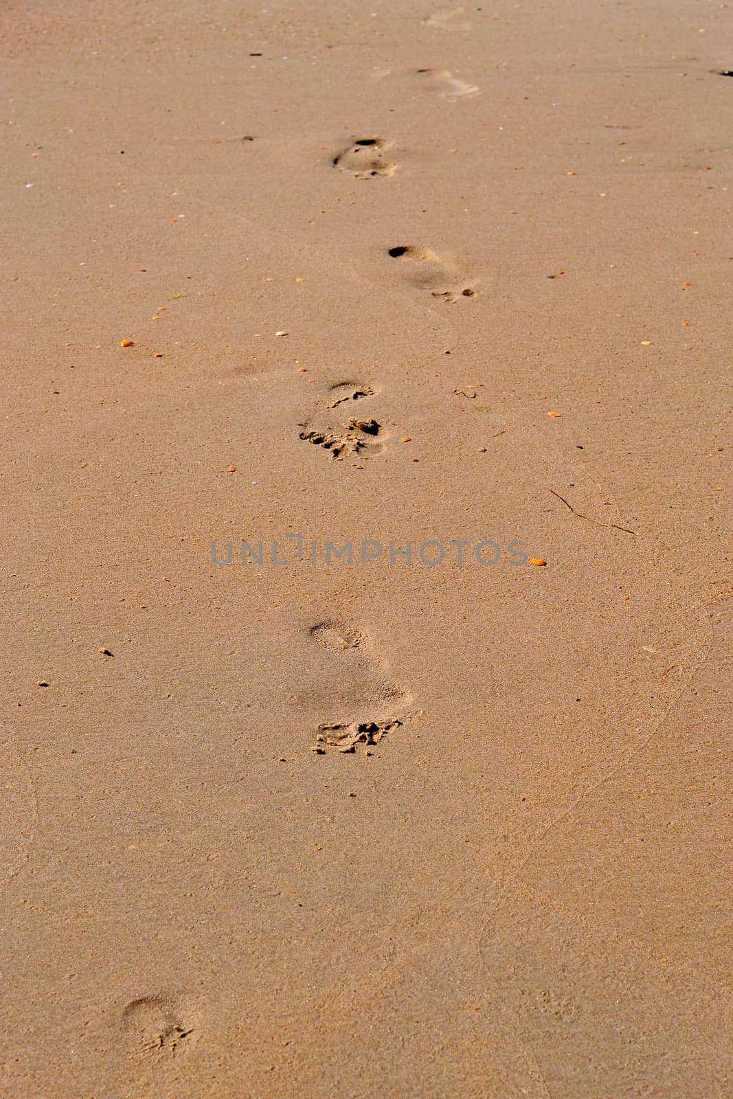 Trace of a bare foot of the person on sand.