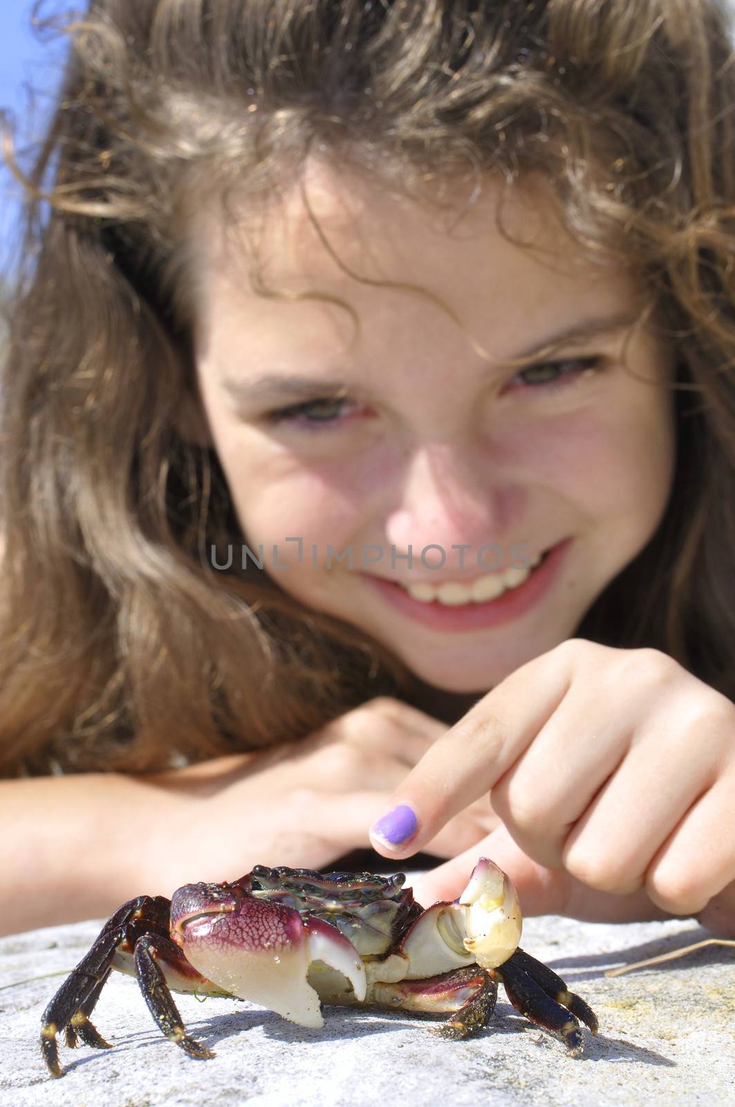 Closeup of young girl trying to catch a line shore crab at the beach