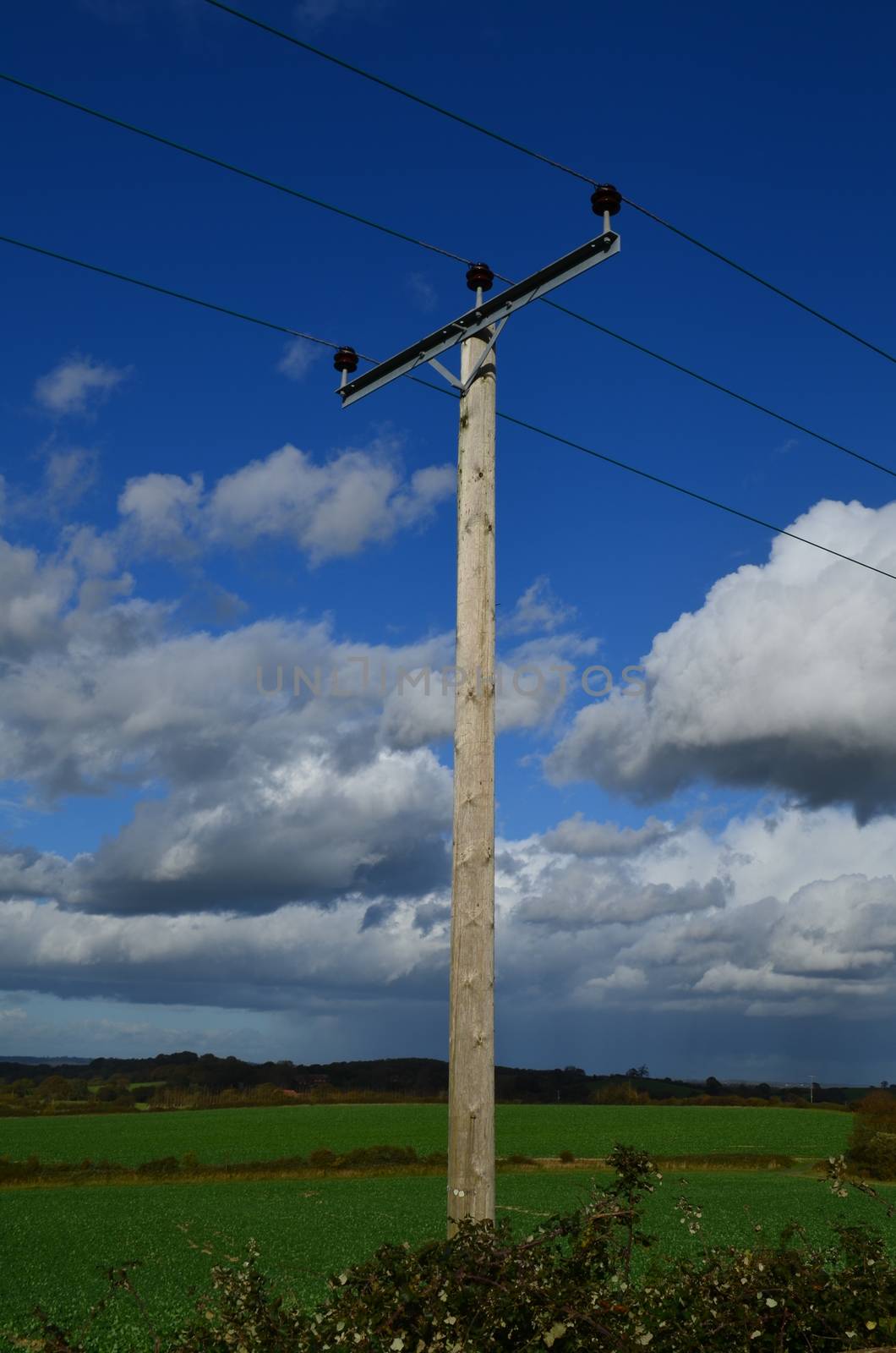 Wooden electricity pole in a rural setting in England.