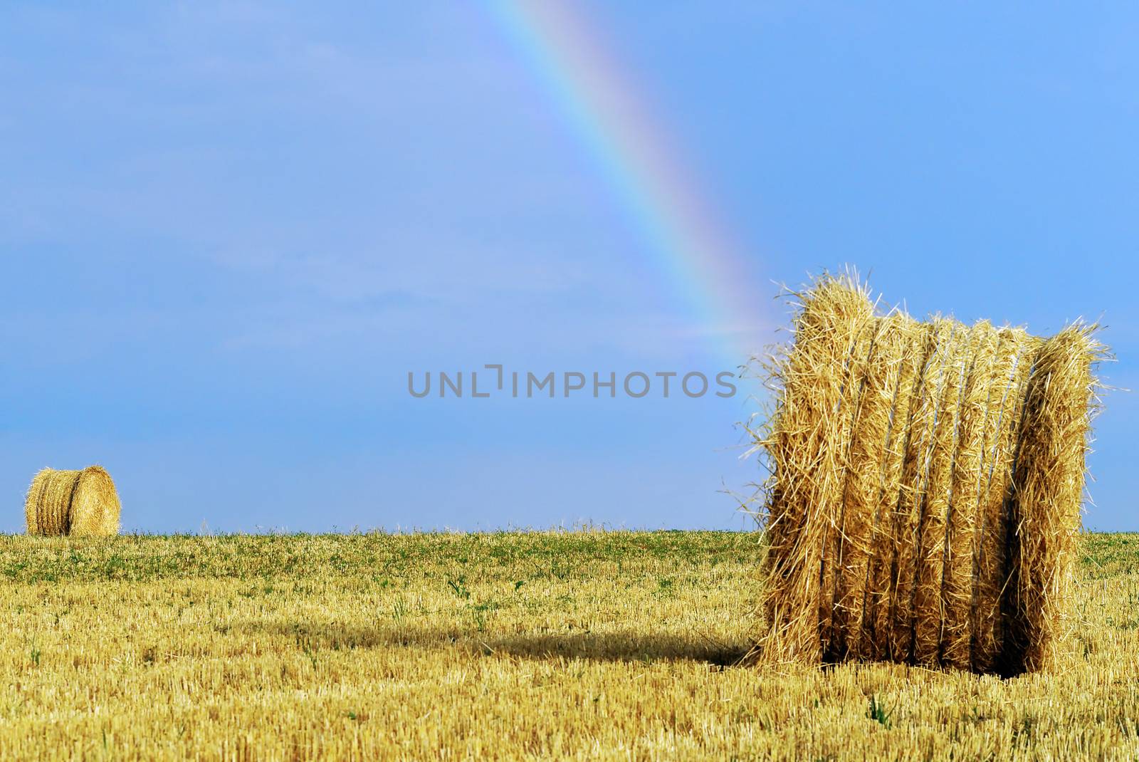 Rainbow by gufoto