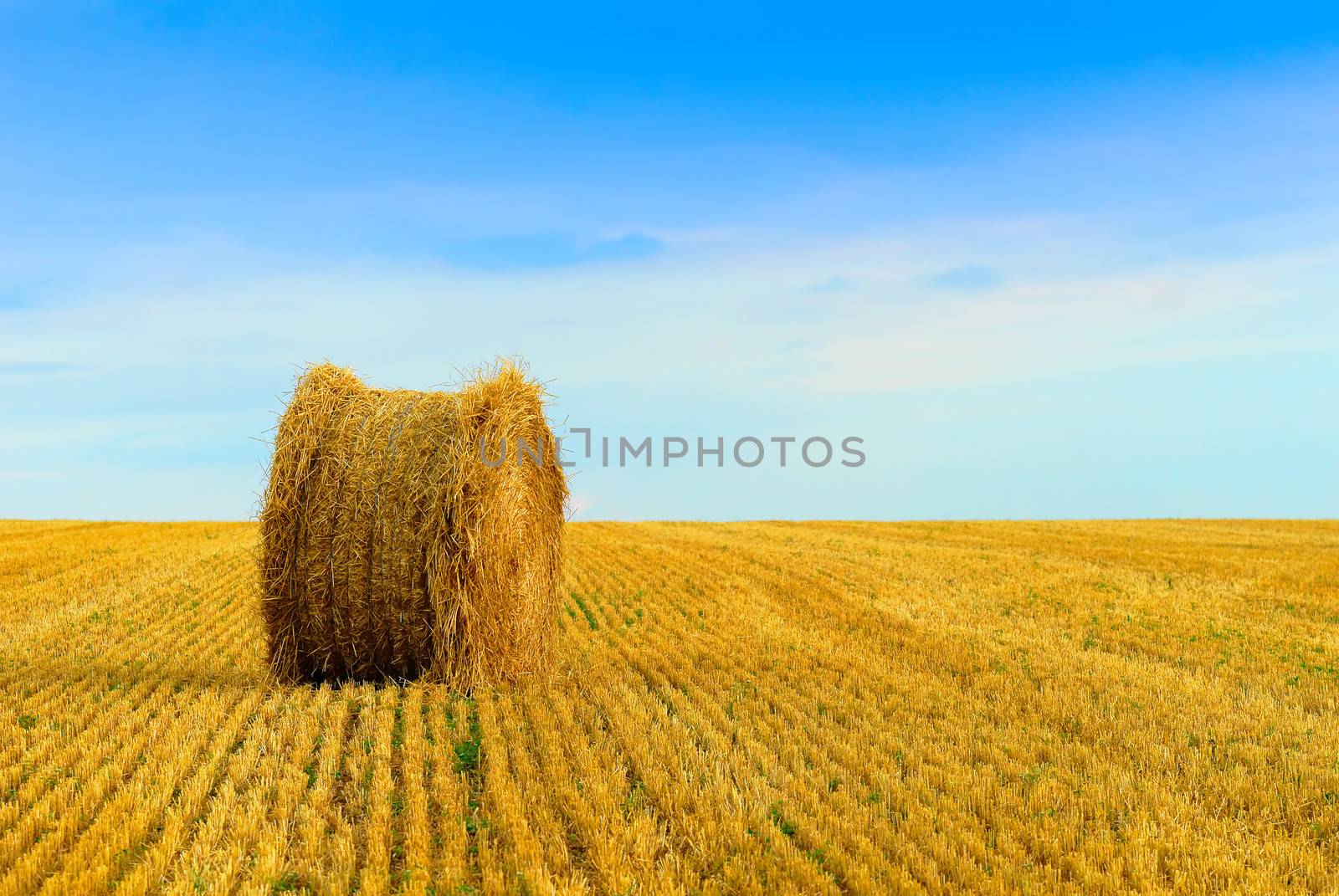 isolated straw bale