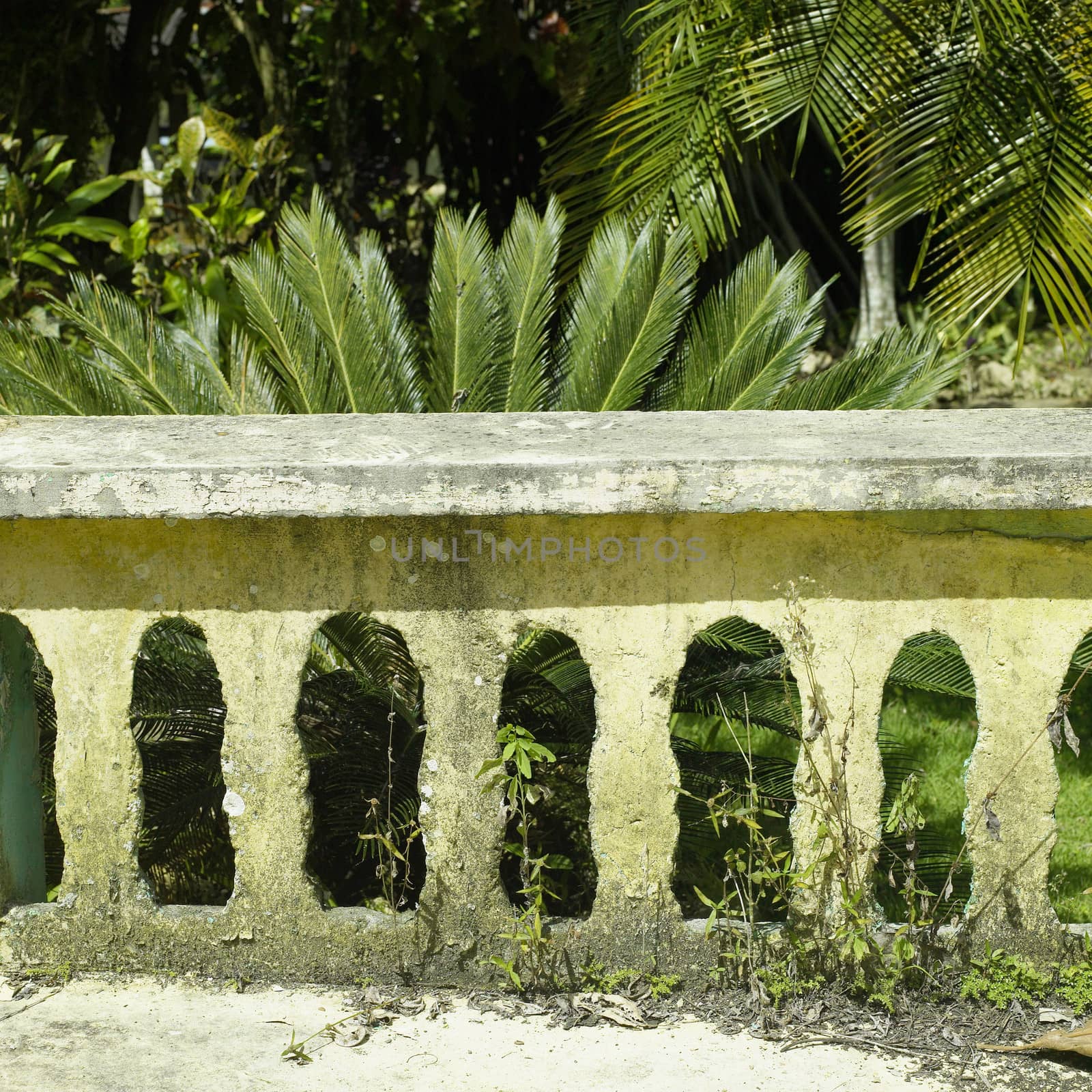 Old yellow railing with plants in the background.