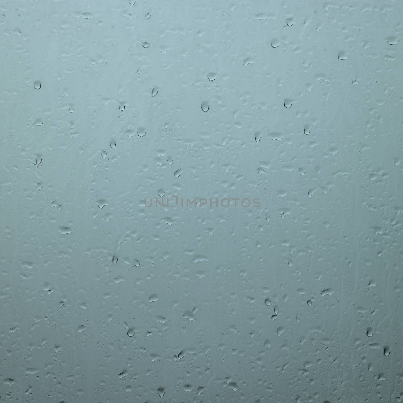 Rain drops in a window by mmm