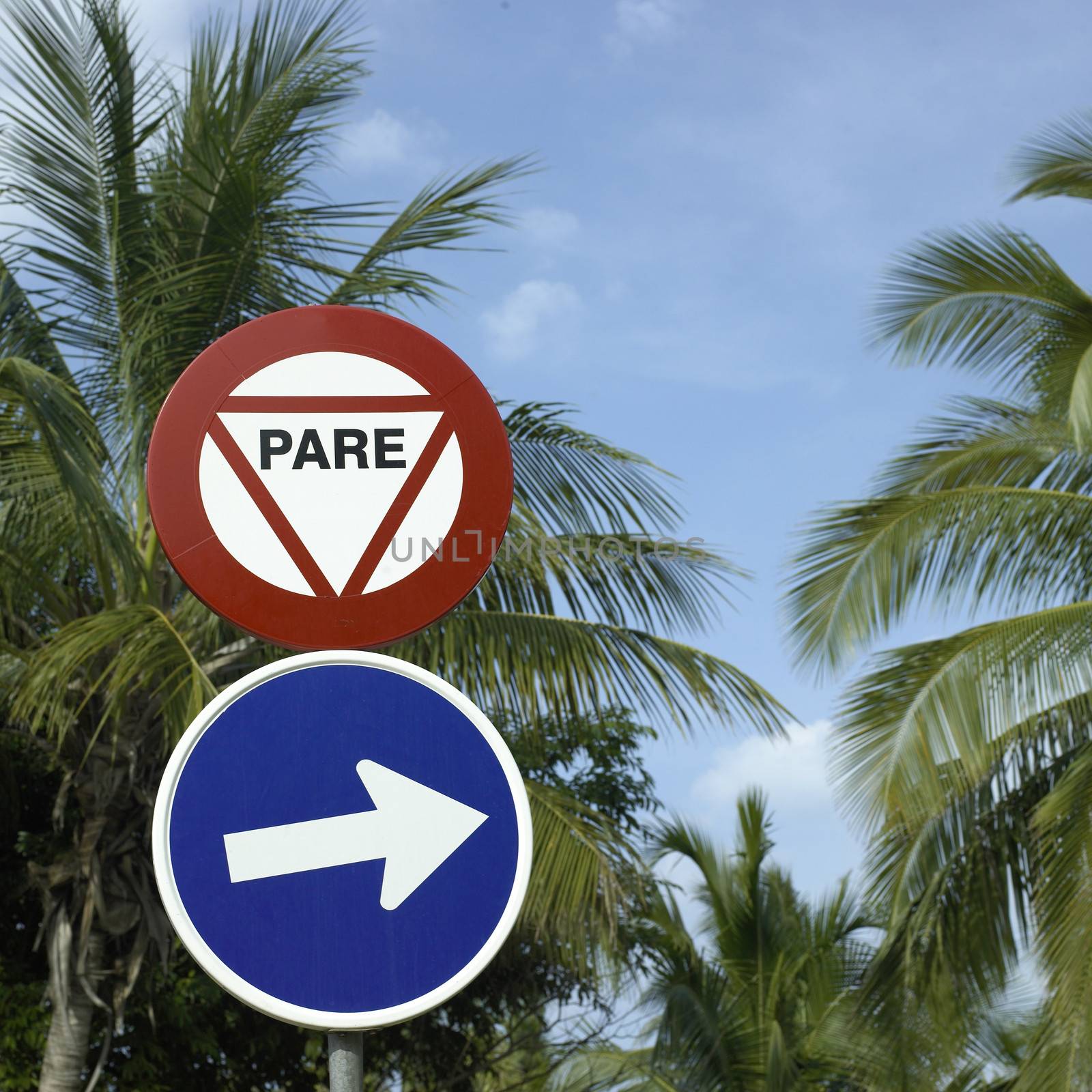 Pare sign and arrow with palm tree background