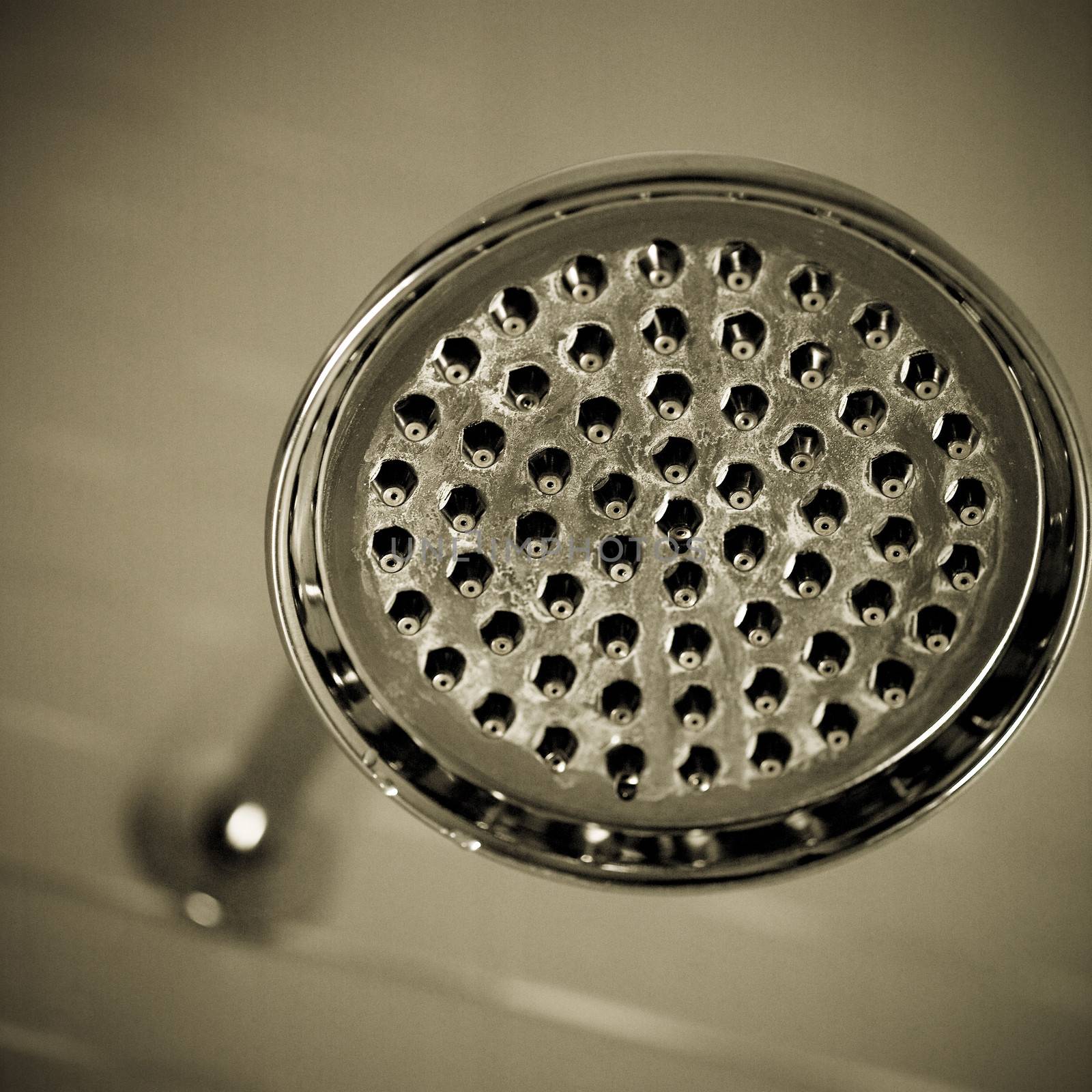 Close up of a silver shower head
