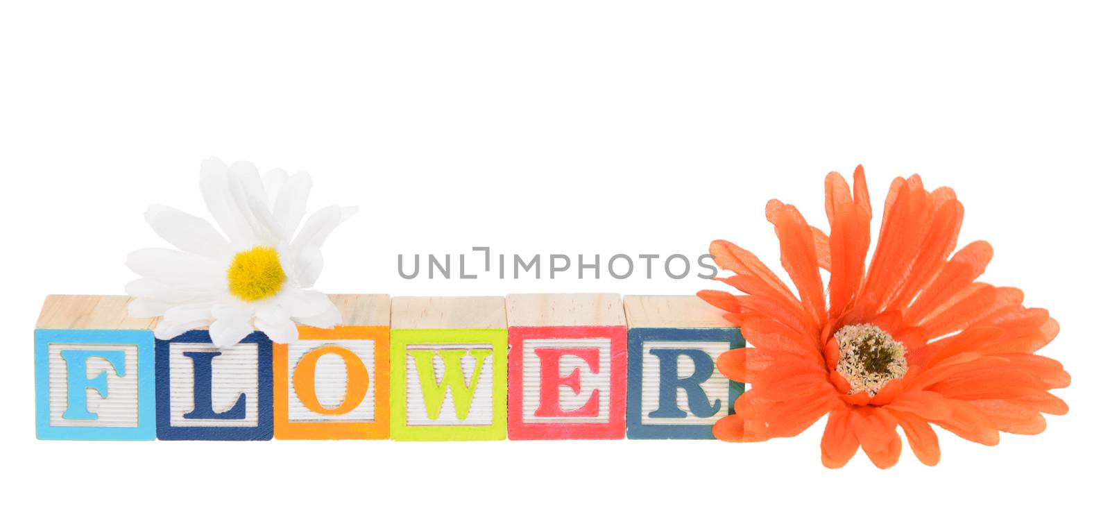 Letter blocks spelling flower. Isolated on white.