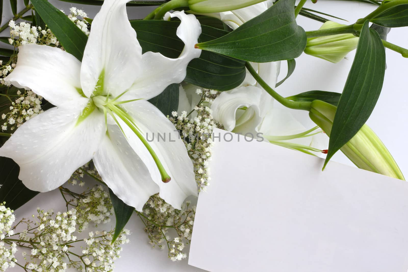 White lily flowers and post card by destillat