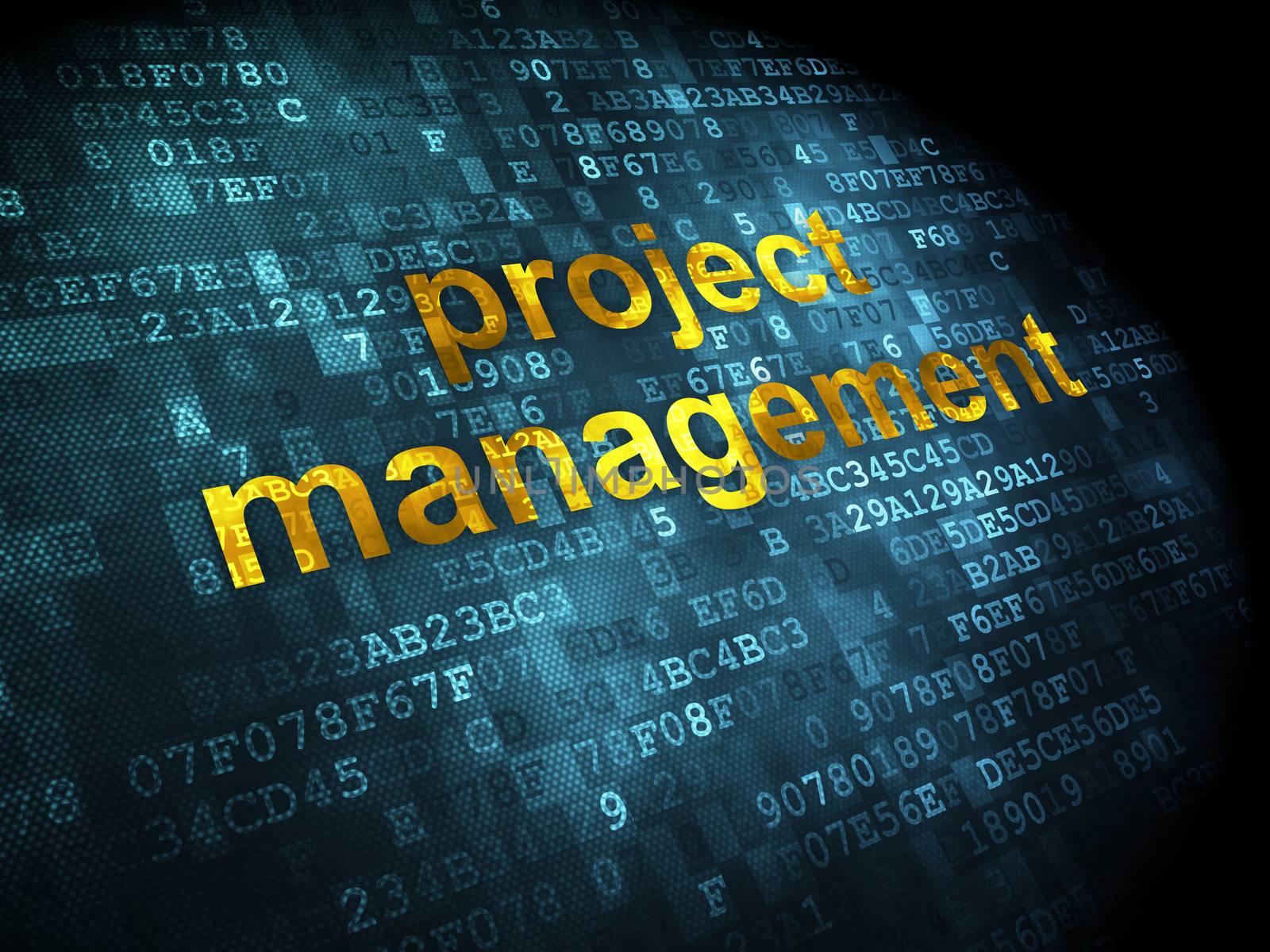 Finance concept: pixelated words Project Management on digital background, 3d render
