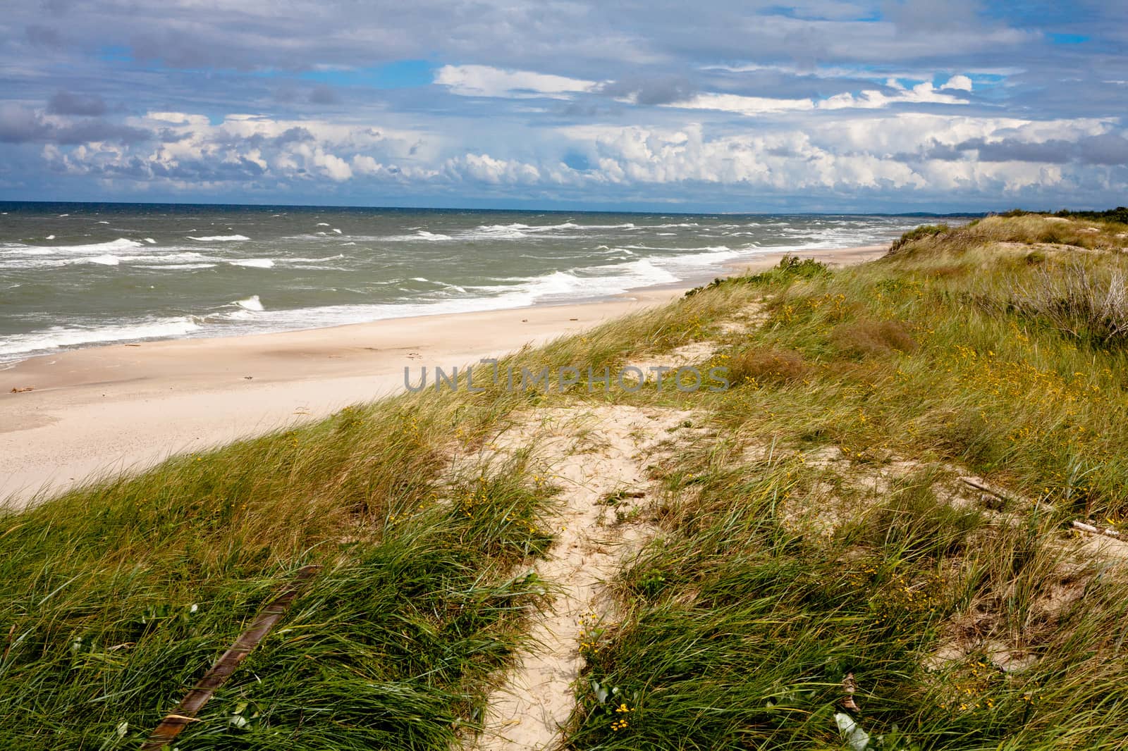 Baltic sea near Curonian Spit
