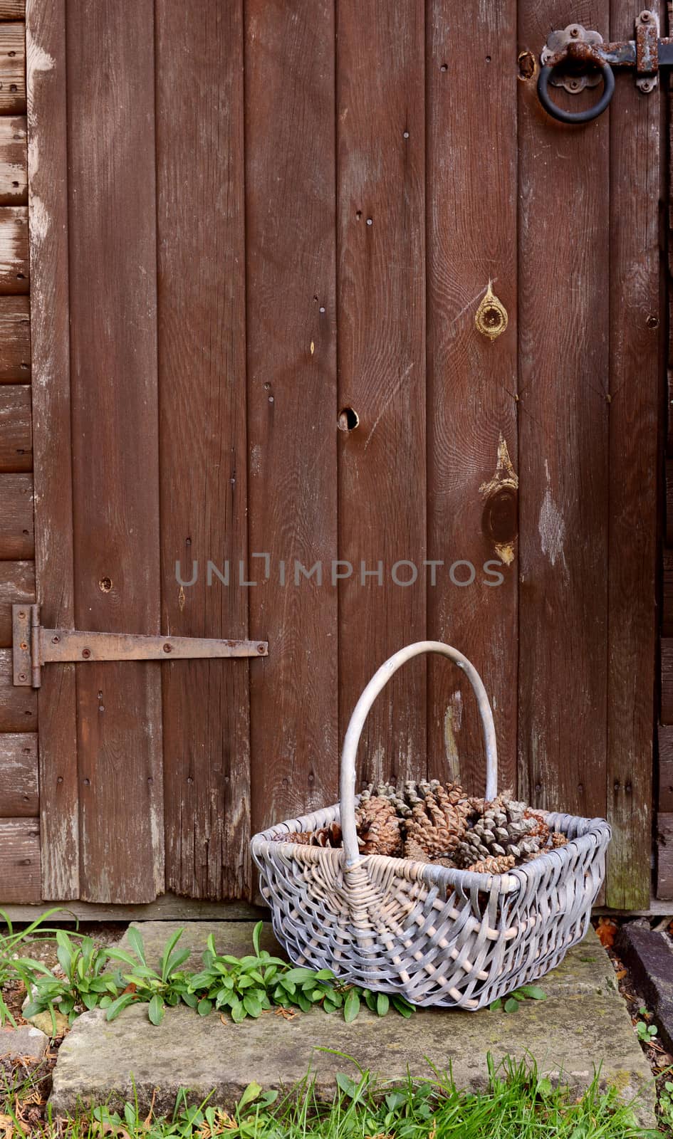 Basket of fir cones left in front of a weathered wooden door