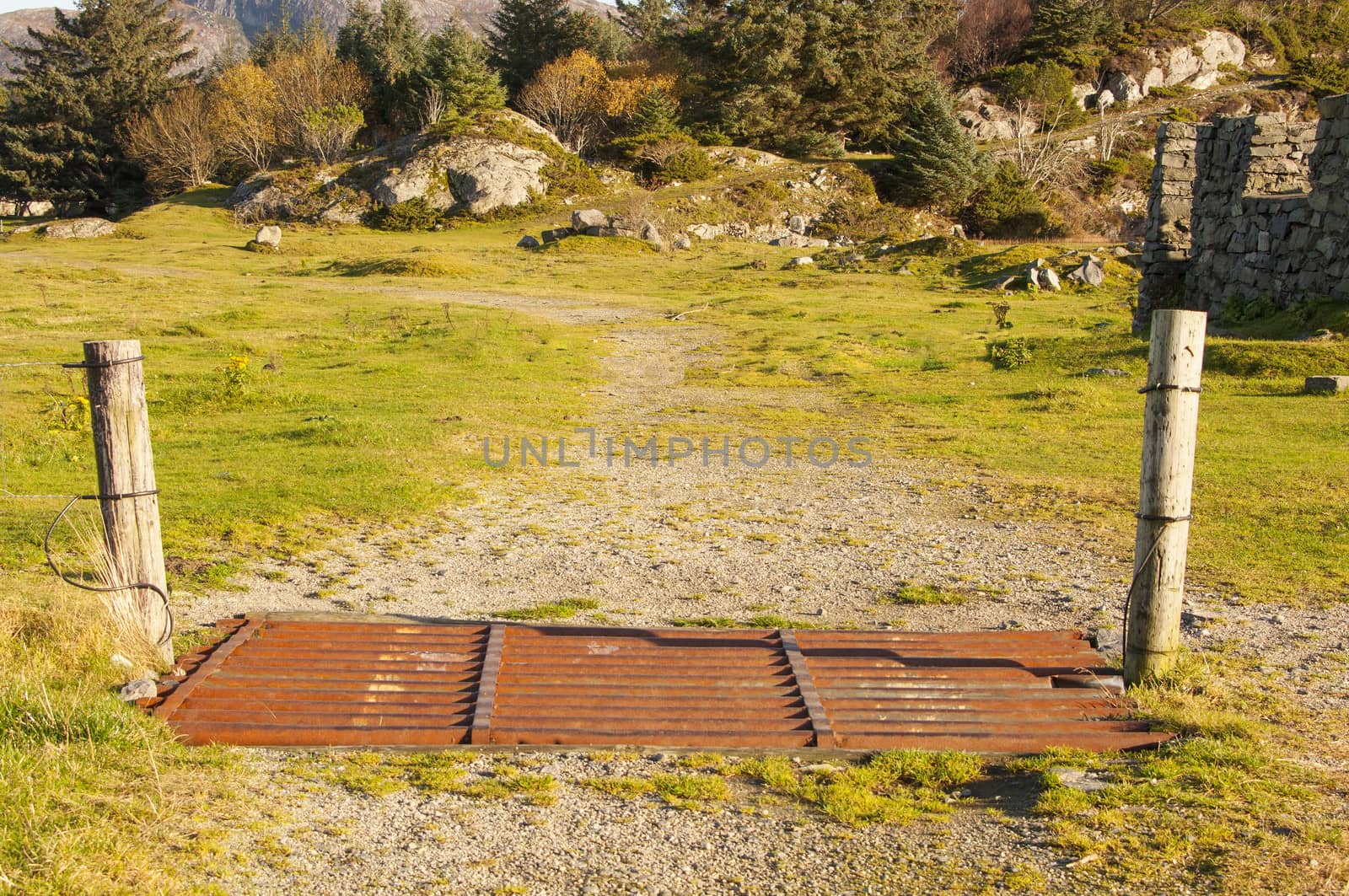 A cattle guard on a meadow