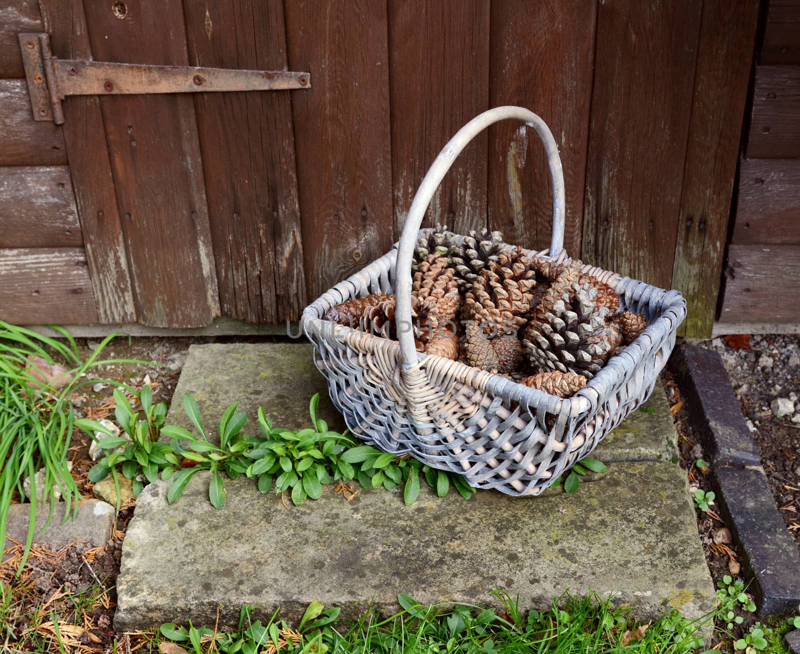 Basket of pine cones on a rustic stone doorstep