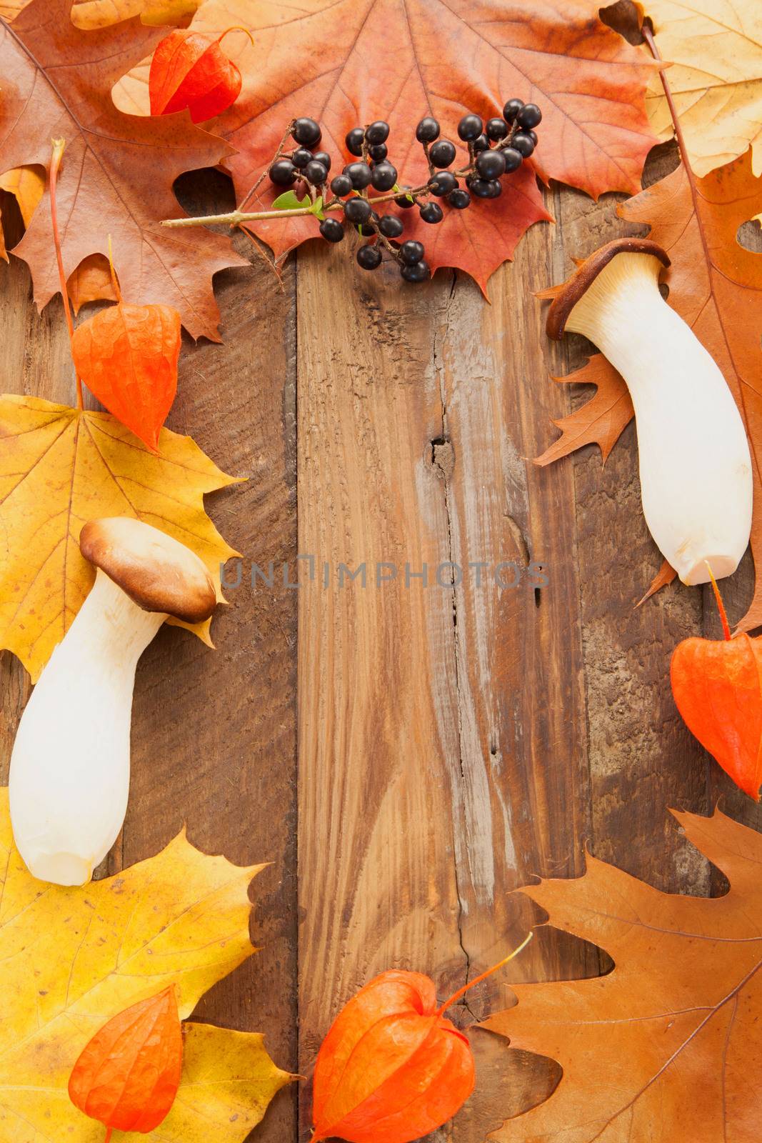 autumn background with colored leaves on wooden board