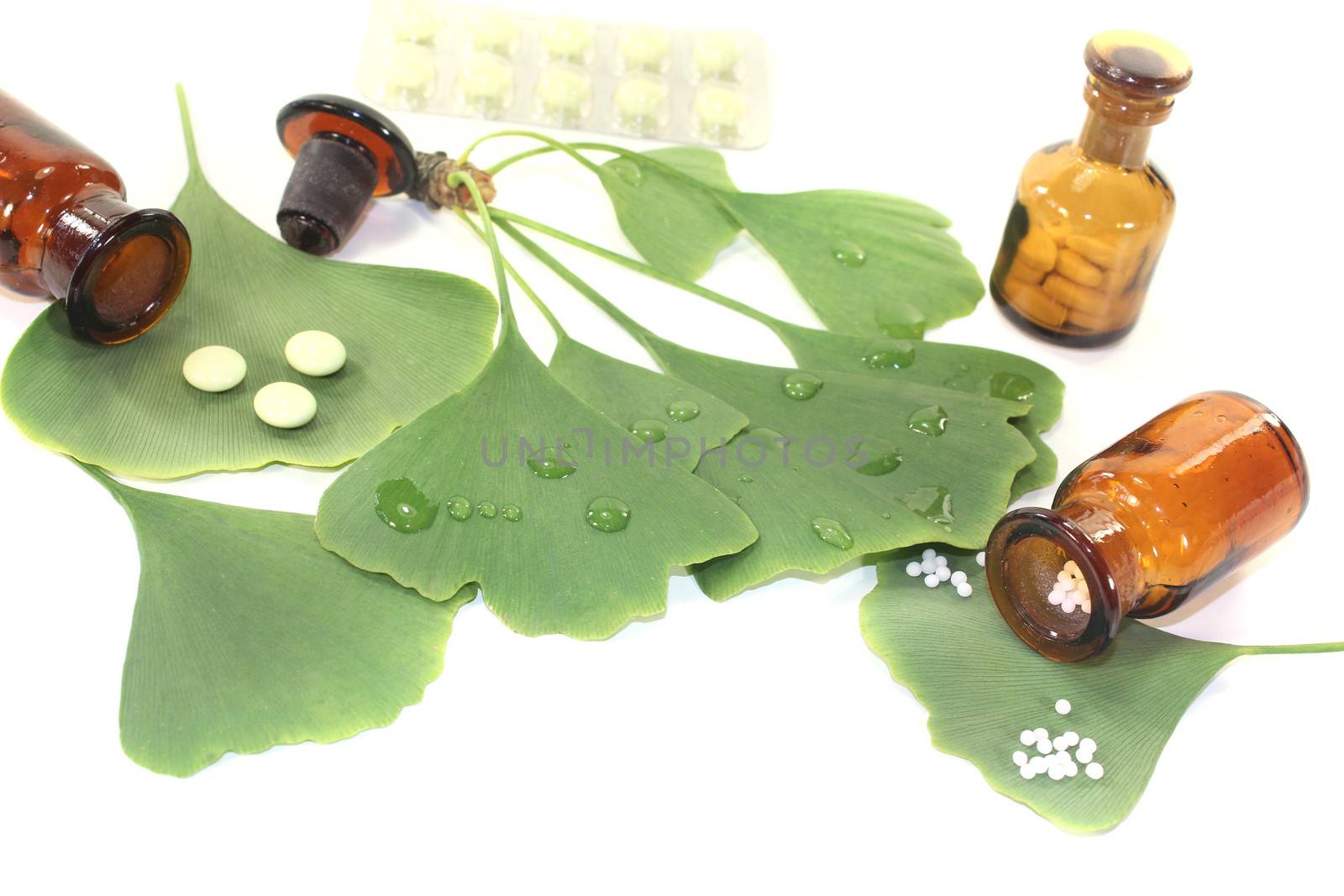 Ginkgo leaf with pharmacist bottle on bright background