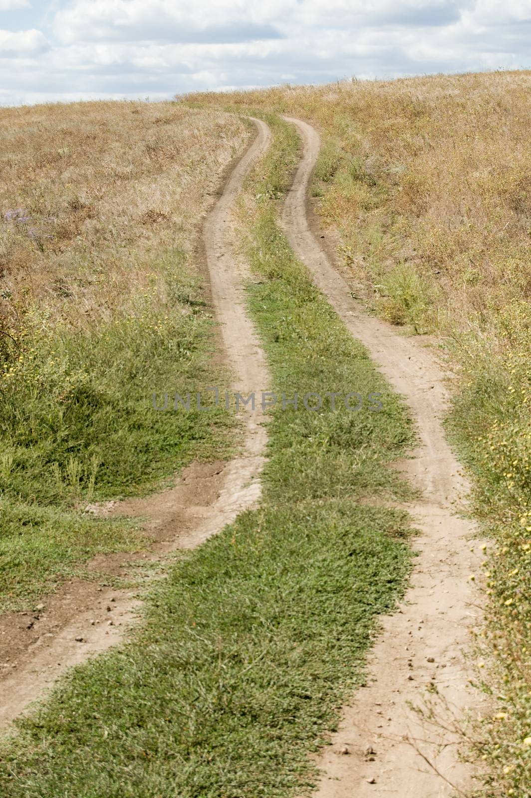 curves rural road through a ravine over the horizon