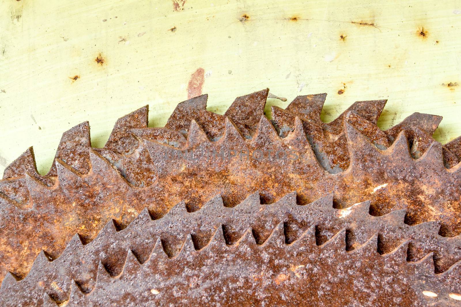 detail of old hanged rusted circular saw blades