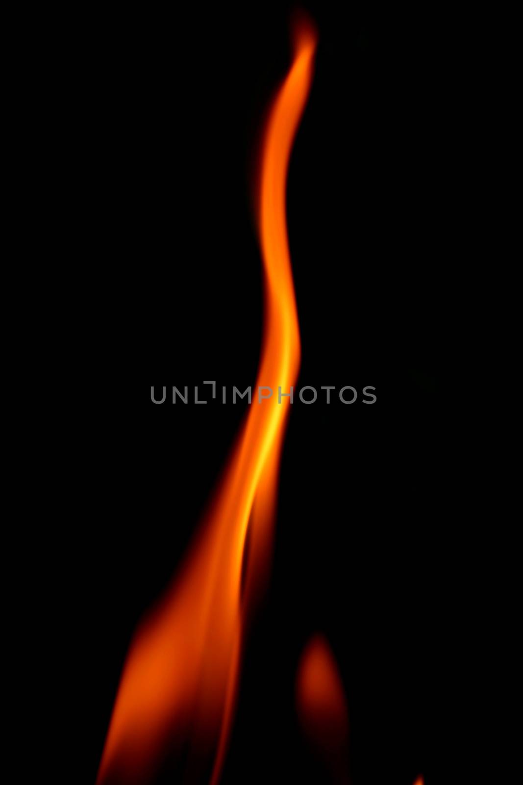fire by Yellowj