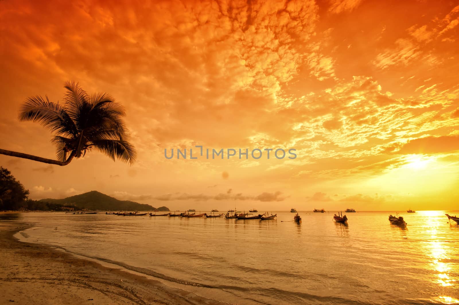 Sunset with palm and boats on tropical beach by johnnychaos