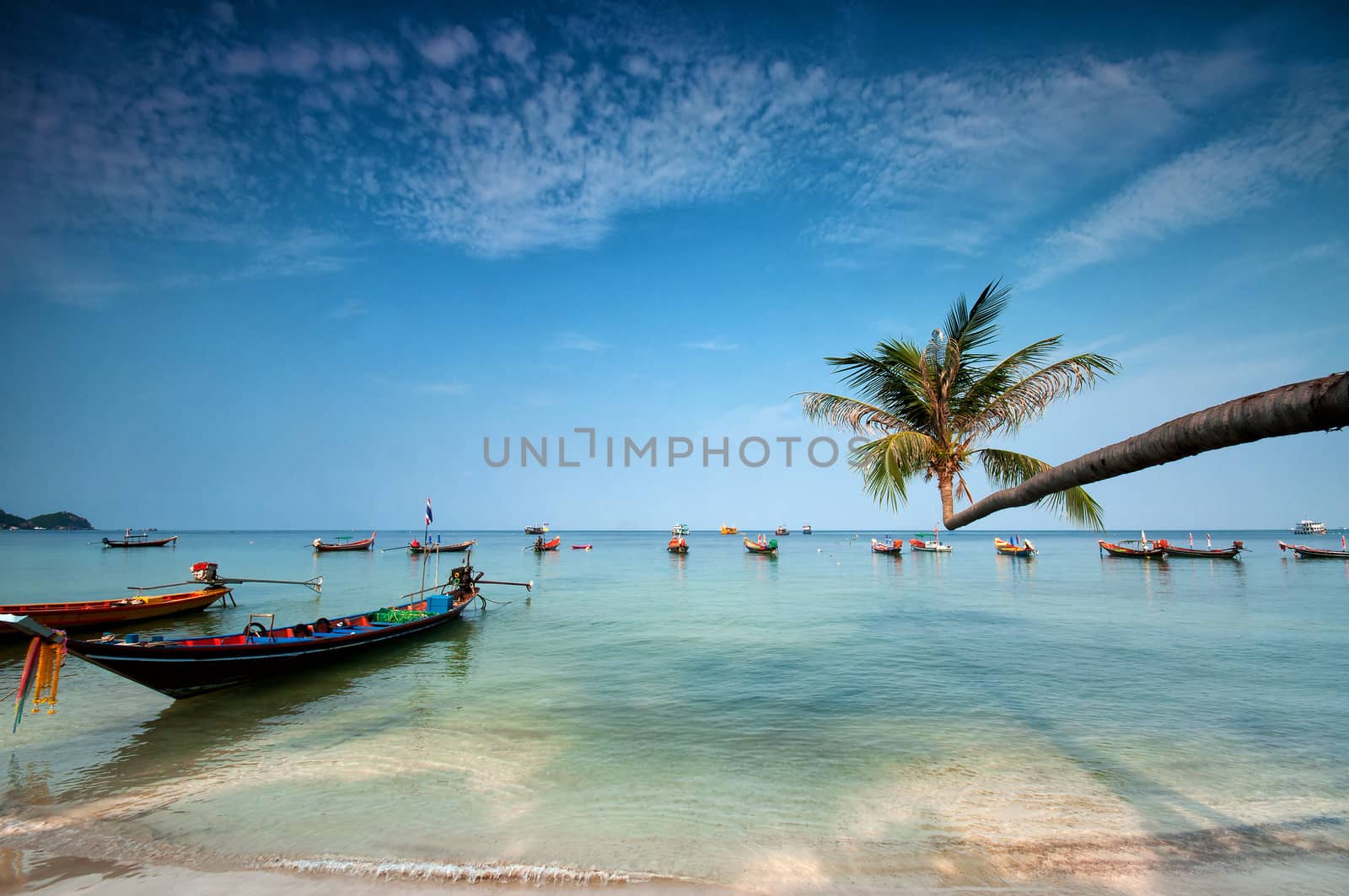 palm and boats on tropical beach, Thailand by johnnychaos