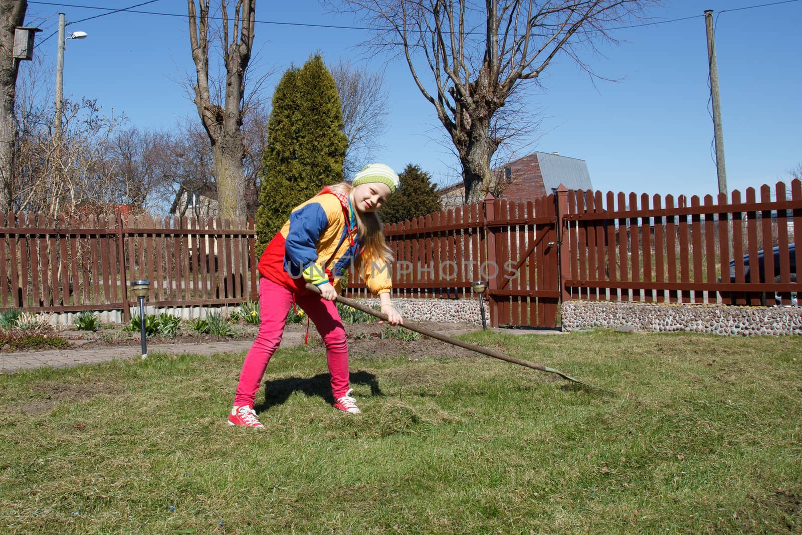 little girl working in the flower garden with rake 