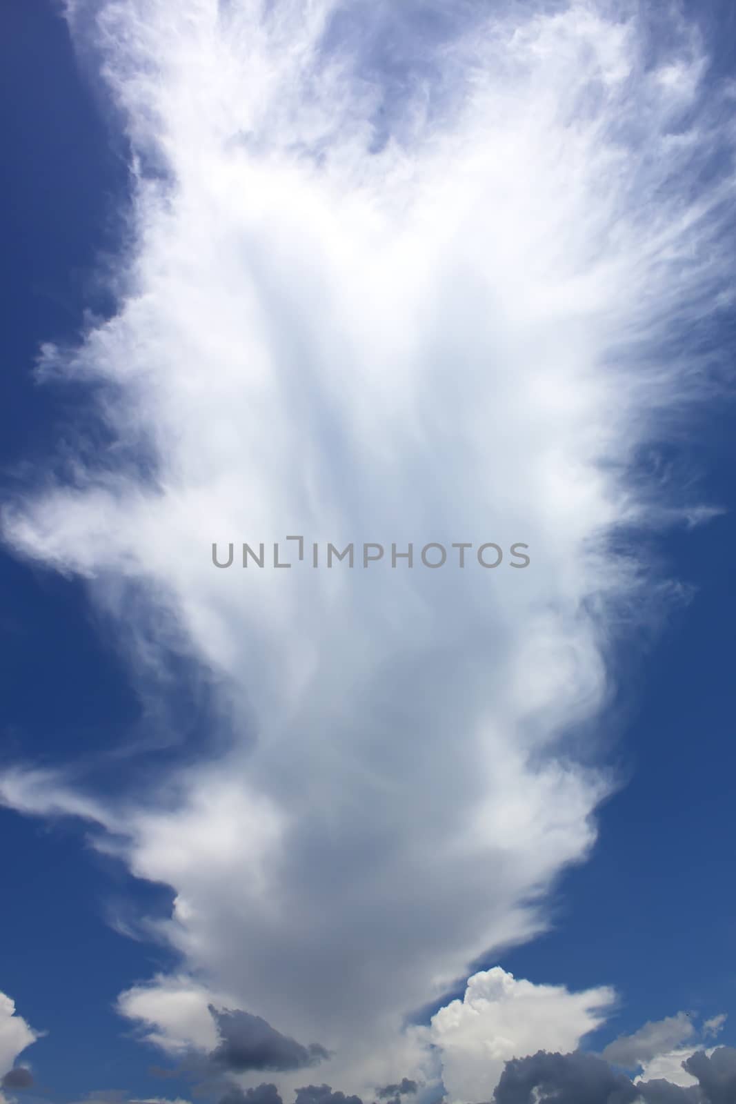 The vast blue sky and clouds sky.