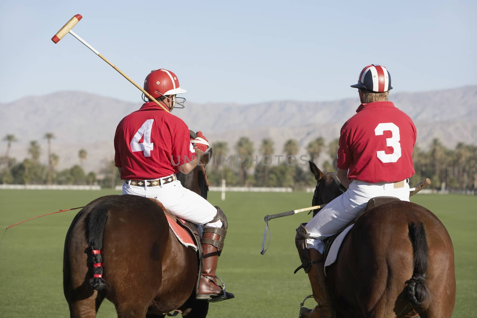 Rear view of polo players holding sticks mounted on horses by moodboard