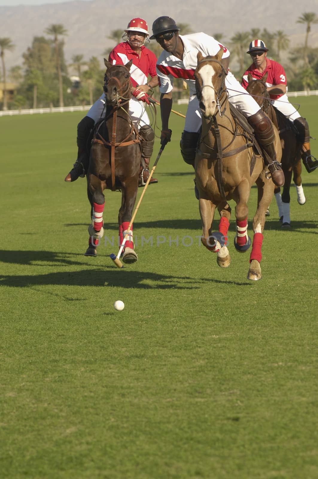 Three polo players in action during tournament by moodboard
